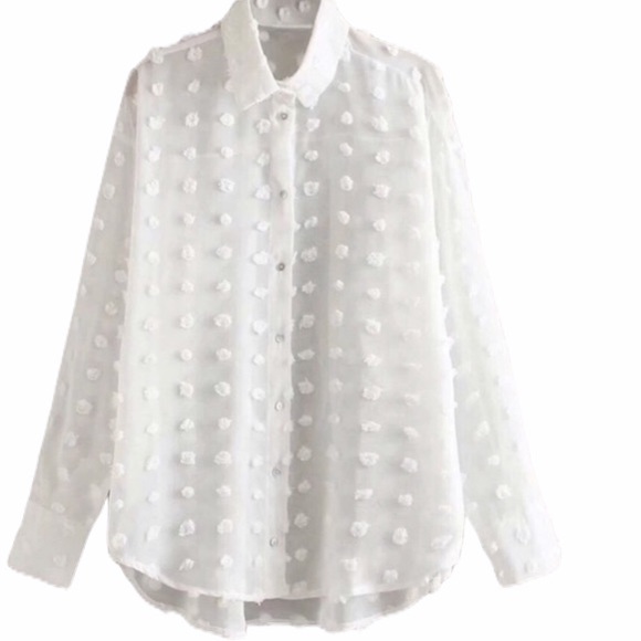 PLUS white Swiss dot long sleeve blouse - Picture 4 of 4